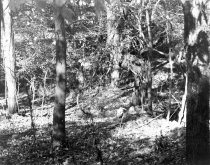 Kernstown battlefield